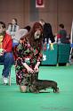 Crufts2011_2 839